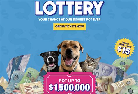 BC SPCA brings back lottery for animals in need .